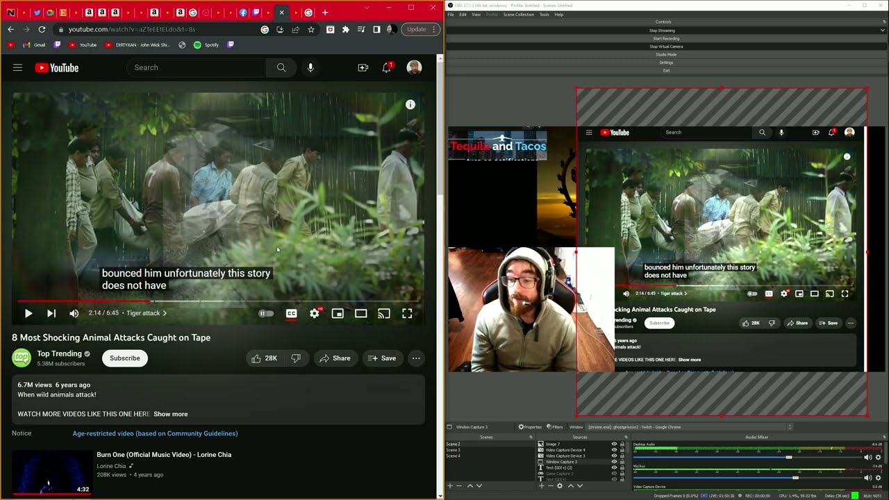 TequilandTacos Reaction Live Stream