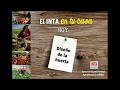 INTA AMBA -  Diseño de la huerta