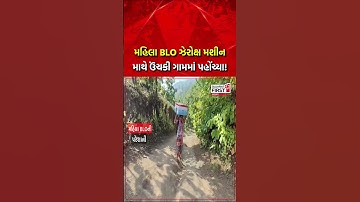 Chhota Udepur | મહિલા BLO માથે ઝેરોક્ષ મશીન ઉંચકી ગામમાં પહોંચ્યા ! | Gujarat First