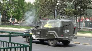 Zorrillos, Guanacos Y Lacrimógenas Marchas Octubre 2019