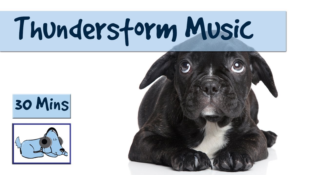 music to calm dogs during thunderstorms