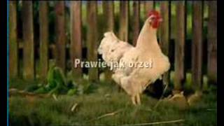 Prawie jak...Reklama Żywca Prawie jak...Reklama Żywca