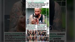 Внешний вид бывает обманчив #история #байкер