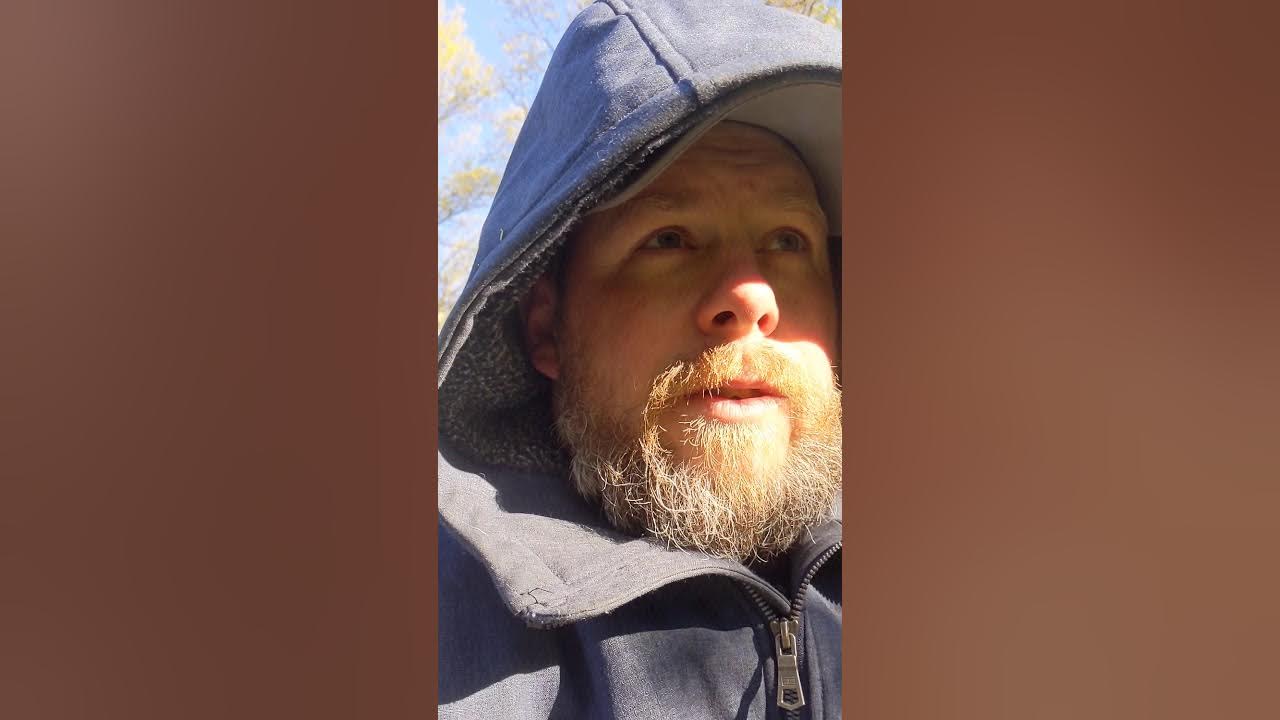 Pet Safe shock collar on goats! Invisible fence, works! YouTube