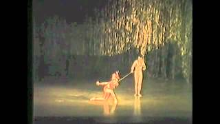 FIREBIRD excerpt