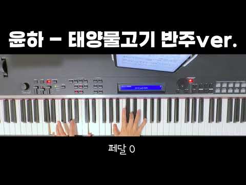 Sunfish (반주악보, 3단악보, 밴드악보 ) - Younha
