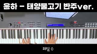 Sunfish (반주악보, 3단악보, 밴드악보 ) - Younha