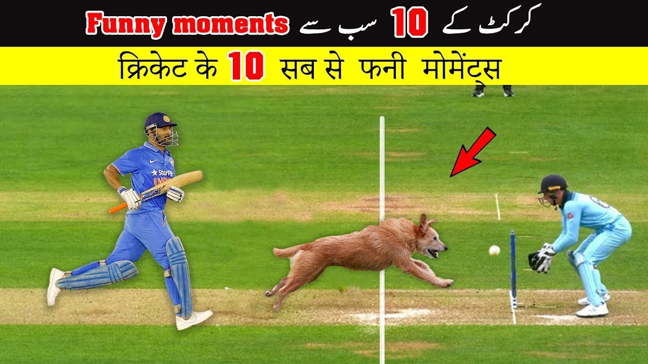 Top 5 Funny moments in Cricket History || Most Famous #top5 #cricket ...