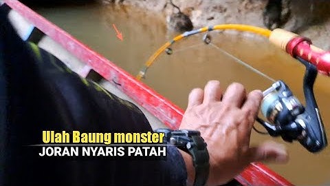 MANCING BAUNG MALAM SEMAKIN SORE SEMAKIN GANAS SAMBARAN NYA