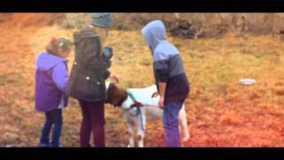 BMCC Color Correction Test 2015