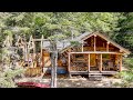 Building a Timber Framed Off Grid Outdoor Kitchen | Pine Floor and Walls and a Wood Cook Stove