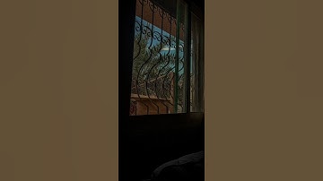 ﴿ يُبَصَّرُونَهُمْ ۚ يَوَدُّ الْمُجْرِمُ لَوْ يَفْتَدِي﴾ [ المعارج :11] القارئ :اسلام صبحي