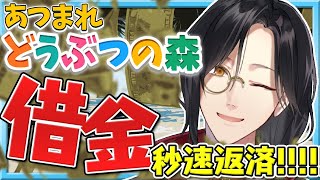 【あつまれ どうぶつの森】借金が非常にぴえんであるからして返済す！！！【シェリン にじさんじ】