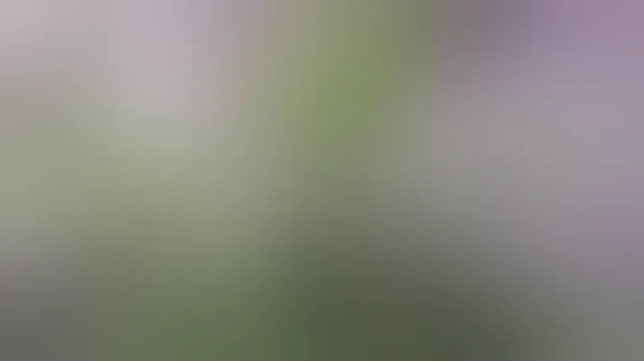 Grow Tent Lighting and Ventilation