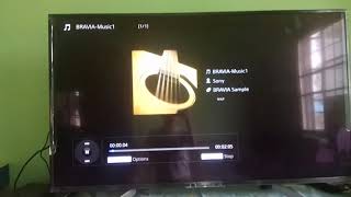 BRAVIA-Music1