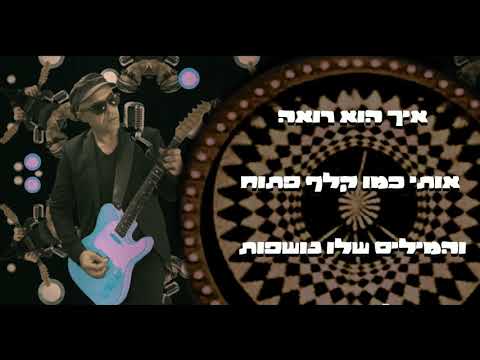 ארז לב ארי והחליפות האורח 