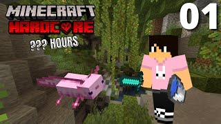 Starting our Minecraft world off STRONG - How Many Hours (HMH) Minecraft Hardcore 1.18.1 (#1) by Beanbon 1,530 views 2 years ago 28 minutes