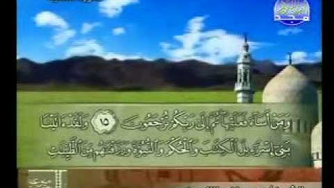 سورة الجاثية الشيخ مصطفى اللاهوني