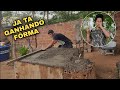 PROJETO FOGÃO DE LENHA INICIADO