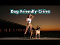 10 most dog friendly cities in the united states