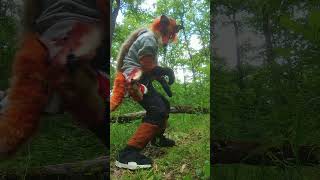 Exploring nature :3
