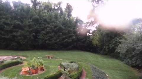 Parrot Bebop Jello Video