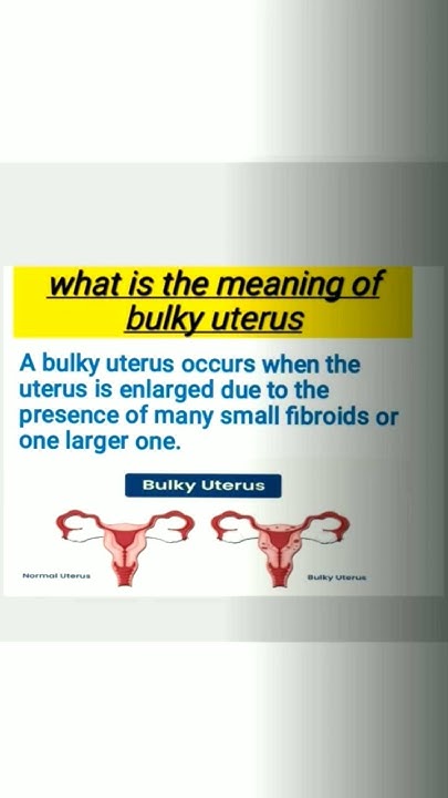 what-is-the-meaning-of-bulky-uterus-youtube