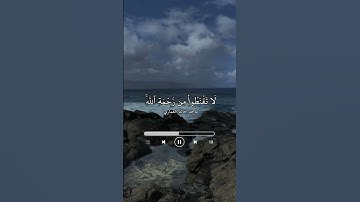 تلاوة بصوت القارئ /ماجد خالد العماري