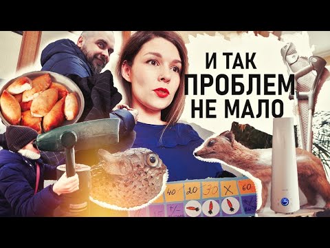 Планируешь, планируешь - а выходит как обычно. И при чём тут КОСТЫЛИ?- Senya Miro - Смотреть видео с Ютуба без ограничений