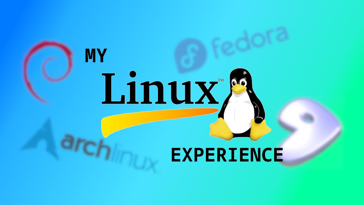 My 2025 linux experience