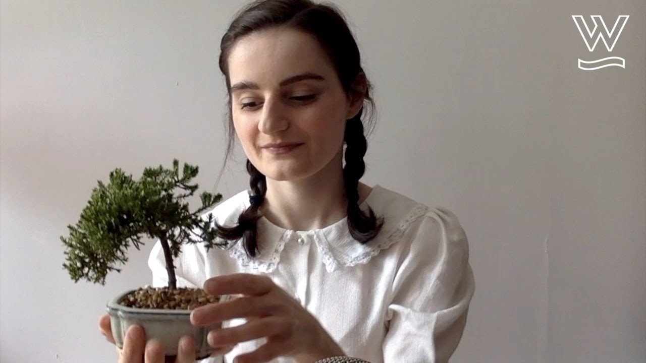 ASMR | Leah's Garden Haul (Plastic Crinkles, Soil, Water, Plants)