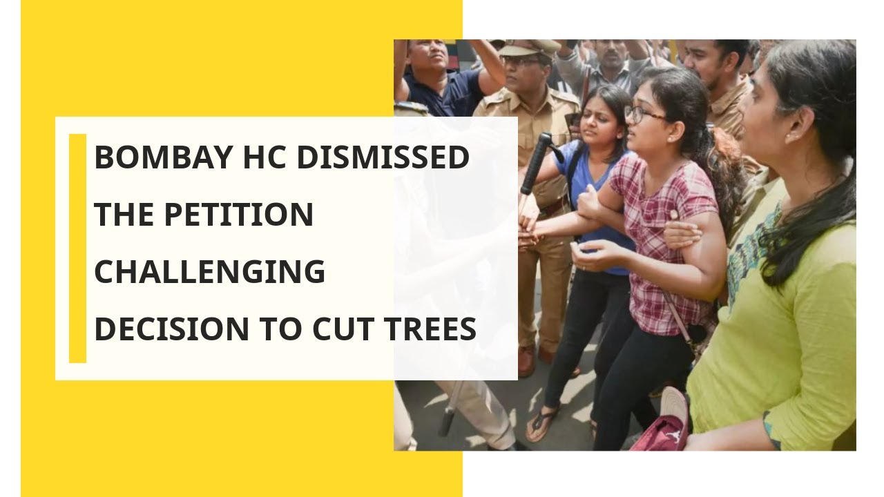 Aarey Forest: Bombay HC dismissed the petition challenging decision to cut more than 2600 trees