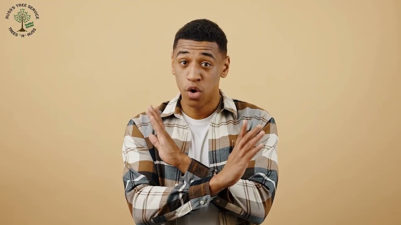 Storm Cleanup & Tree Removal in Houston | Russ’s Tree Service