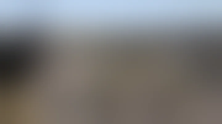 Carl Gustaf M/45 (Swedish K) Submachinegun