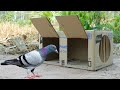 Creativity cardboard box trapping  how to make a trap from cardboard box