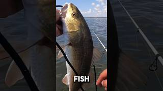 How to CATCH Redfish in THE FLATS! (Port Aransas,Texas) #saltwaterfish #fishing
