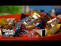 Why shopping for Halloween candy is giving some Canadians a fright