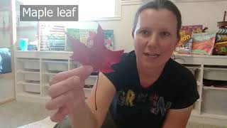 Fall Leaf Rubbings Craft Activity