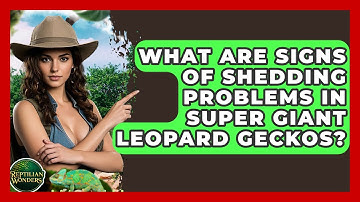 What Are Signs Of Shedding Problems In Super Giant Leopard Geckos? - Reptilian Wonders