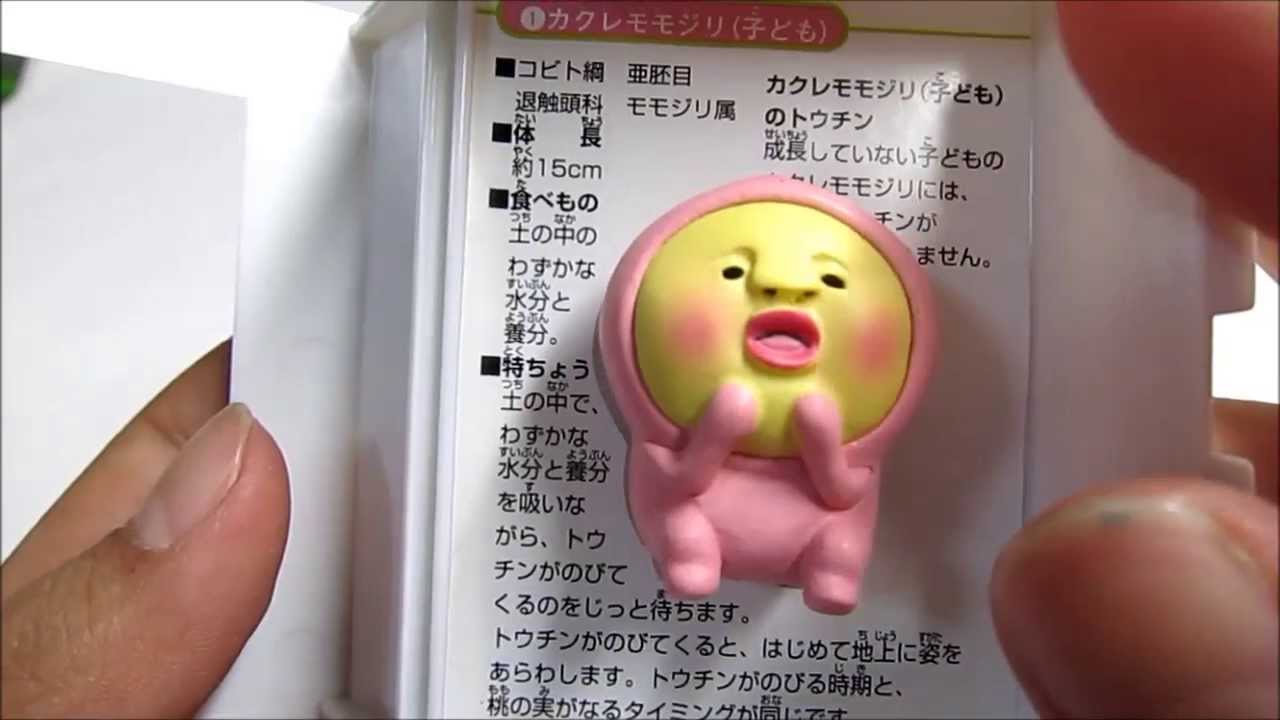 こびと立体図鑑第2弾 カクレモモモジリ（こども） 開封!!! - YouTube