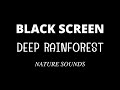 Tropical rainforest sounds with rain 10 hours black screen relaxing sleep dark screen sleep well