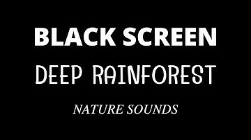 Tropical Rainforest Sounds with Rain 10 Hours Black Screen Relaxing Sleep Dark Screen, Sleep well