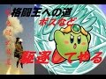 全てのボスを排除せよ! カービィスーパーデラックス~格闘王への道~