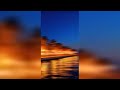 Paradise Alive 16 9