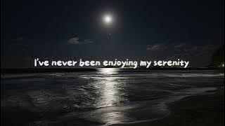 Download lagu Somebody's Pleasure by Aziz Hedra (LYRICS)