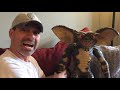 Beginning of video