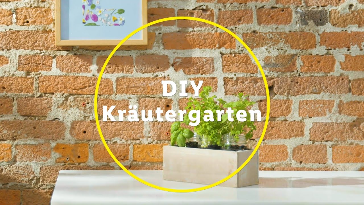 DIY Kräutergarten in der Küche selber anlegen - YouTube