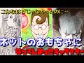 なんでネットのおもちゃに？ネットでネタにされるキャラクターを徹底解説!!【キモカワなネットミーム#2】