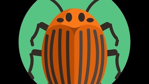 Try Hack Me : Exploit Vulnerabilities