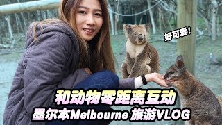 「旅游Vlog」 25澳币（马币72）零距离接触Prank动物！【字幕】